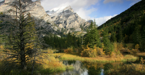 Mountain landscape with snow-capped peaks, dense pine forest, and a reflective pond surrounded by autumn foliage.