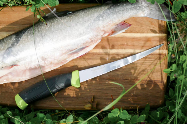Morakniv Filleting Knife – Swedish Stainless Steel with Polymer Sheath - Deutsche Optik