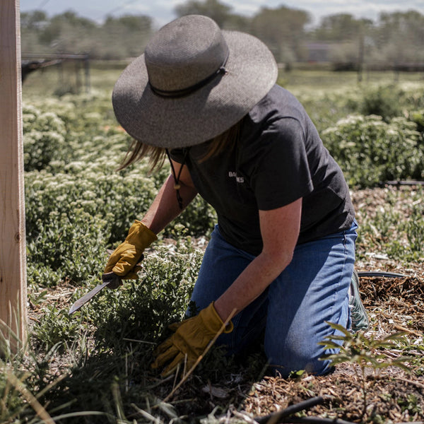 Ultimate Japanese Gardening Tool with Sheath – High-Carbon Steel Multi-Purpose Blade