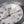 Davosa Argonautic  Lumis BS Automatic
