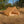 French Desert Tent | Unissued Two-Person Army Pup Tent