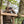 MINOX Binocular X-range 10x42 - Precision, Clarity, and Reliability - All in One