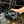 MINOX Binocular X-range 10x42 - Precision, Clarity, and Reliability - All in One