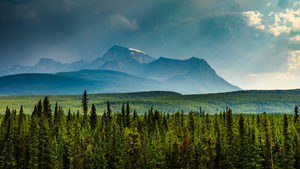 Scenic view of mountains and forest with dramatic sky