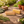 Gardener’s Hand & Nail Brush