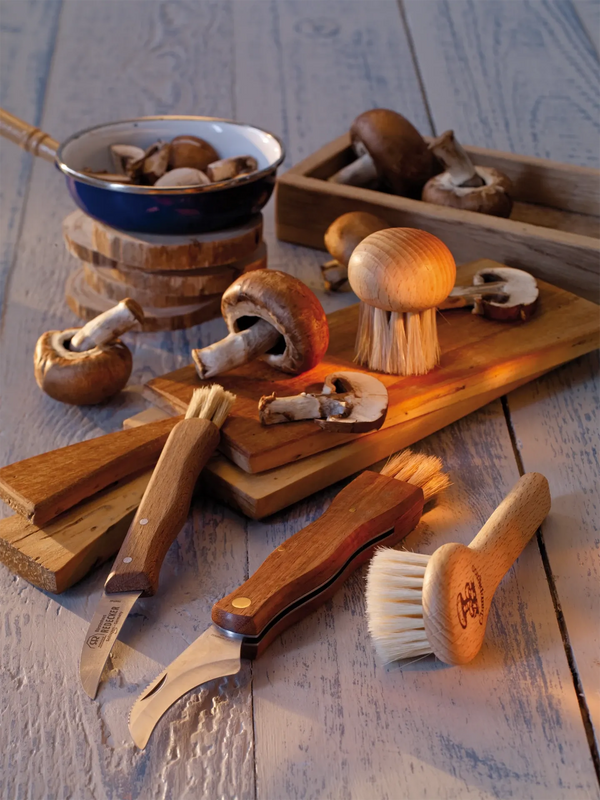 Mushroom Brush | Beech Handle With Horsehair Bristles
